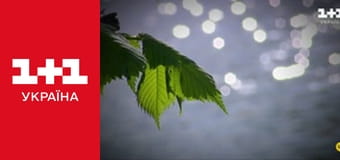 Життя відомих людей