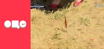 Битва екстрасенсів, 19 сезон, 1 еп.