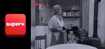 Т/с "Альф", 3 сезон, 25 с.