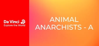 Animal Anarchists - A Very Pretty Insect Trap