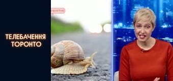 #@)₴?$0 з Майклом Щуром - Випуск 2