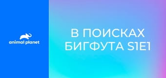 В поисках Бигфута S1E1 - Экспедиция отправляется