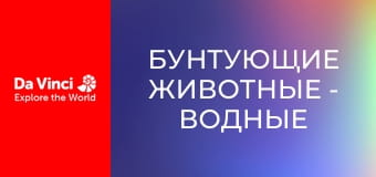 Бунтующие животные - Водные существа и странные укрытия