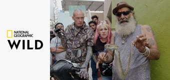 Змеи в городе S10E4