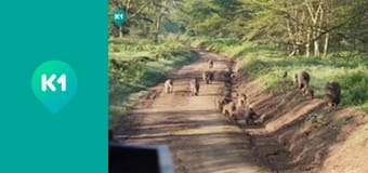 "Світ_огляд з Машею Себовою".