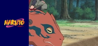 Naruto Season 1 Episode 44