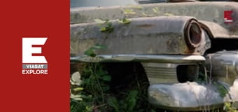 Рятувальникі в буші - Безрозсудний