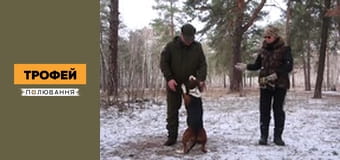 Мисливські собаки Сезон 1 Епізод 50