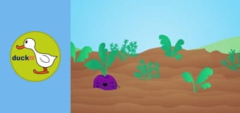 Happy Garden - Carrot, Radish and Beetroot