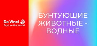 Бунтующие животные - Водные существа и странные укрытия