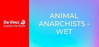 Animal Anarchists - Wet Creatures and Strange Hiding Places