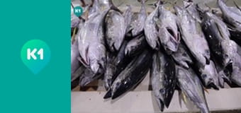 "Інший світ".