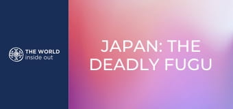 Japonsko: smrteľné ryby fugu a mesto robotov. Japonsko: smrteľné ryby fugu a mesto robotov.