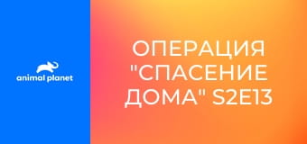 Операция "Спасение дома" S2E13
