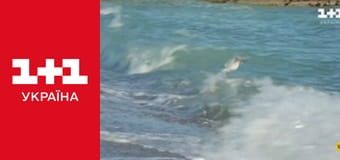 Міняю Жінку S13E4