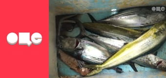 Особенности национальной работы, 4 сезон, 56 эп.