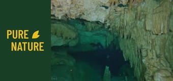Мексикански подводни пещери: Невероятен подводен свят Мексикански подводни пещери: Невероятен подводен свят