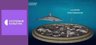 Д/с "Спецназ животного мира". "Специалисты".