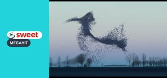 The Professor The Professor