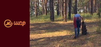 Season 8, Episode 2, Part 15