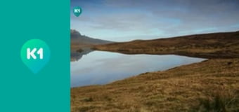 "Орёл и Решка. Дайджест".