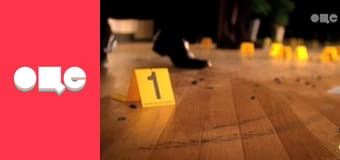 Т/с "CSI: Місце злочину - Маямі", 4 сезон, 9 с.