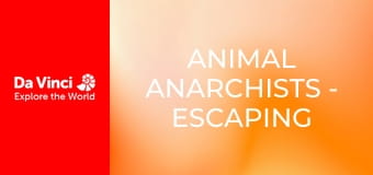 Animal Anarchists - Escaping the Wasp
