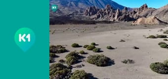 "Покутные. Вместе по миру".