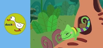 Color Clara - Tasty Fruits