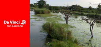 Сияя - Отправьтесь с нами - Водная гора Сияя - Отправьтесь с нами - Водная гора