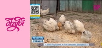 Говорит Украина, 25 эп. Говорит Украина, 25 эп.