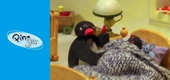 Pingu Sezon 6 Odcinek 6 Pingu Sezon 6 Odcinek 6
