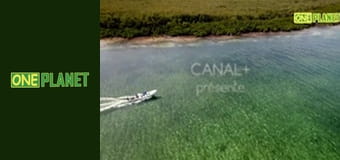 Голубые просторы, 2 эп.