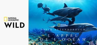 Океан с Дэвидом Аттенборо