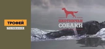 Мисливські собаки Сезон 1 Епізод 52