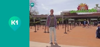 "Орел і Решка. Дайджест".