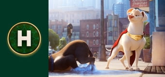 DC Ліга СуперУлюбленців