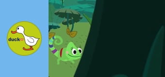 Color Clara - Exotic Animals