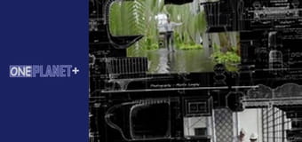 Дизайнерский Рай. - cерия 3 Дизайнерский Рай. - cерия 3