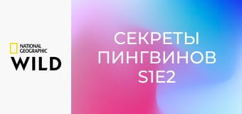 Секреты пингвинов S1E2