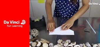 Умная наука - Проведите собственные гонки на лодках Умная наука - Проведите собственные гонки на лодках