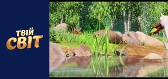 Пташиний ульот