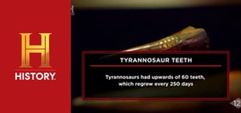 Звезды ломбарда, 24 сезон, 18 эп. Большая редкость.