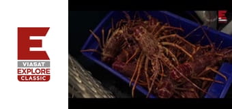 Aussie Lobster Men Season 5 Episode 6