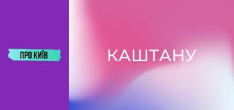 Рейтарська: київська молодіжна перлина. Чому стала популярною? Інтерв'ю зі співвласником "Каштану".