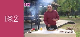 Удачний проект S4E4