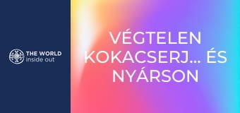 Végtelen kokacserje-ültetvények és nyárson sült tengerimalac. Bolívia. Végtelen kokacserje-ültetvények és nyárson sült tengerimalac. Bolívia.