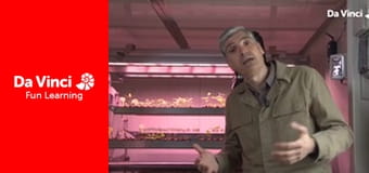 Футурис - Путешествующая оранжерея Футурис - Путешествующая оранжерея