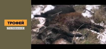 Трофейне полювання Сезон 1 Епізод 49