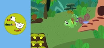 Color Clara - Healthy Vegetables